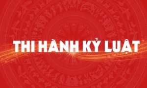 TP. Hồ Chí Minh: Thi hành kỷ luật khai trừ Đảng đối với 8 đảng viên